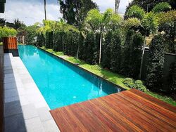 Harlyn Road (D11), Detached #603361161